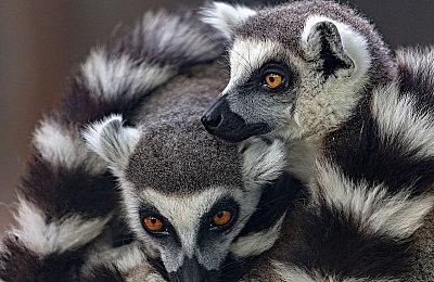 真实心理恐怖叙事游戏《Luto》正式公开 免费体验版今日登陆Steam